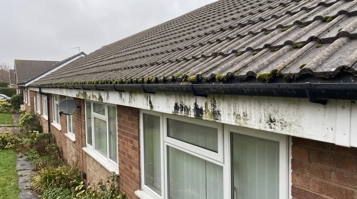 Before: Black streaked fascia, then the same fascia washed clean